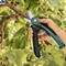 EASYPRUNE - фото 87884