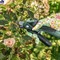EASYPRUNE - фото 87885