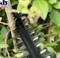 Кусторез   AHS 55-20 Li 18В/550мм  аккумуляторный, BOSCH - фото 88275