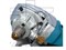 Полировальная машина Makita PW 5000 CH  - фото 89788