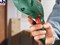 Bosch Ударная дрель PSB 550 RE + чемодан + 5 сверл в ПОДАРОК! 0603126021